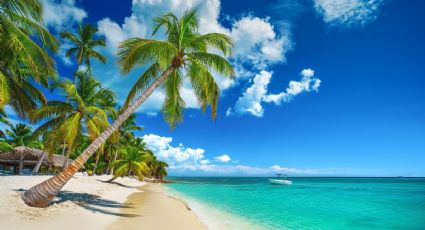 Descubre la playa más 'secreta' de Oaxaca para unas vacaciones tranquilas en verano