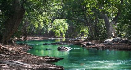 Río Verdito, las bellas pozas de agua cristalina en la Sierra Gorda de Querétaro