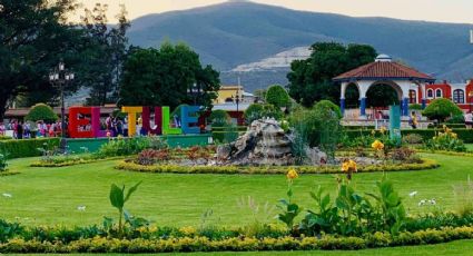 El destino de Oaxaca donde conocerás al majestuoso Árbol del Tule en vacaciones