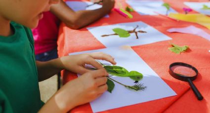 Curso de verano GRATIS para niños de Ecatepec con actividades de ciencia, manualidades y cultura