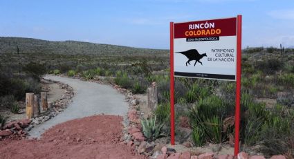 Esta es la ÚNICA zona paleontológica de México que está abierta al público donde puedes ver fósiles