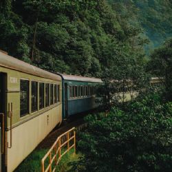 Explora maravillosas selvas y zonas arqueológicas a bordo del Tren Interoceánico estas vacaciones