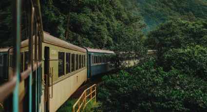 Explora maravillosas selvas y zonas arqueológicas a bordo del Tren Interoceánico estas vacaciones