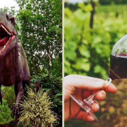 Ruta Vinos & Dinos vuelve a Coahuila para un maravilloso viaje de verano