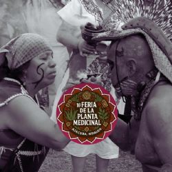 Hidalgo tendrá Feria de la Planta Medicinal con temazcal y aguas termales