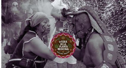 Hidalgo tendrá Feria de la Planta Medicinal con temazcal y aguas termales