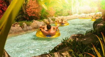 Balnearios naturales cerca de CDMX que valen la pena este verano 2025
