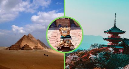 Temayín, la mascota del Tren Maya comparte su viaje por Japón y diferentes lugares del mundo