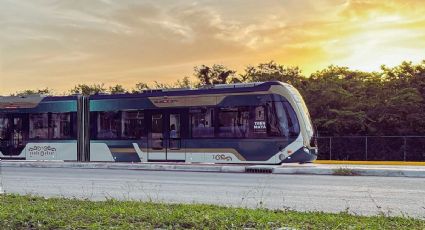 Tren Maya estrena conexión con Tren Ligero y así fue el primer viaje