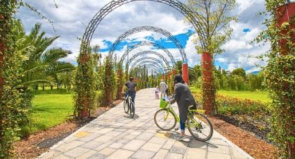 Así puedes disfrutar un paseo en bicicletas entre chinampas y canales GRATIS en Xochimilco
