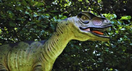 Safari y Río Jurásico para unas vacaciones llenas de aventura en el Estado de México