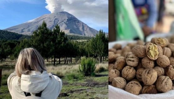 Amecameca te espera en la Feria de la Nuez 2025 en estas FECHAS