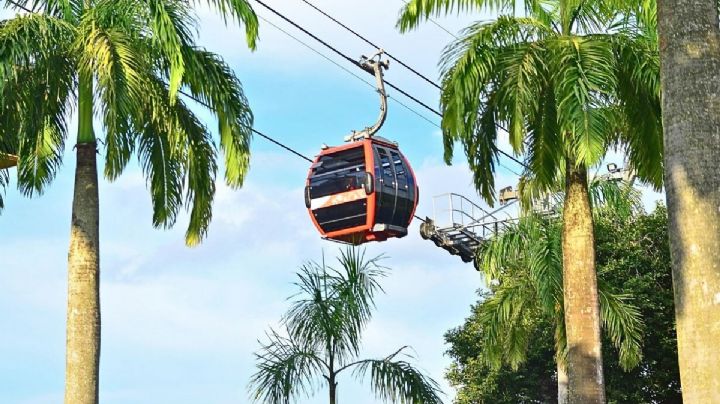 Qué personas pueden viajar GRATIS en el Cablebús para conocer los atractivos de la CDMX