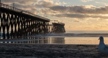 ¿Vas de vacaciones? Conoce las playas más limpias de Baja California para nadar en familia