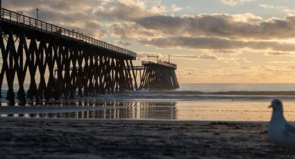 ¿Vas de vacaciones? Conoce las playas más limpias de Baja California para nadar en familia