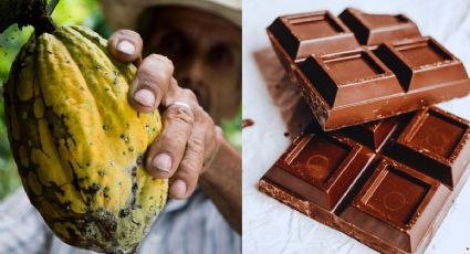 Festival del Chocolate deleitará a los viajeros en Tabasco: FECHAS
