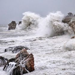 ¿Cómo prevenir riesgos al viajar a la playa en tus vacaciones de verano?
