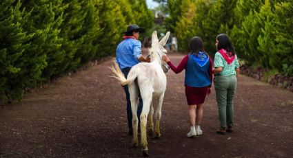 El Pueblo Mágico del Edomex que resguarda el único santuario de burritos en México