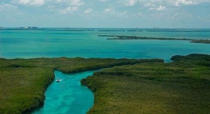 Día Internacional del Manglar: Lugares en México para conocer estos ecosistemas