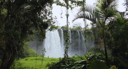 Ruta de los Tuxtlas: Playas, ríos, cascadas, manglares y selva para los viajes de verano