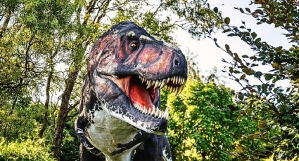 ¡Jurásico! La exposición con fósiles REALES de dinosaurios que puedes ver en Milpa Alta