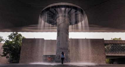 Conoce los museos más visitados de la CDMX con mas de 6 millones de visitantes en 2025