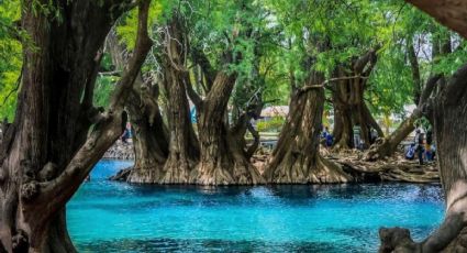 Camécuaro: El hermoso ”lago de lágrimas” con aguas cristalinas que te robará el aliento