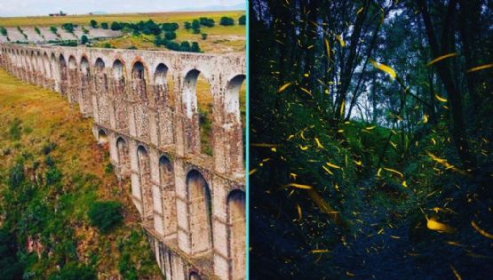 Ruta ‘Luciérnagas Enamoradas’ en la sierra del Pueblo Mágico de Tepotzotlán para disfrutar en verano