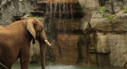El Elefante, la cascada de Nayarit con aguas turquesa para refrescarte