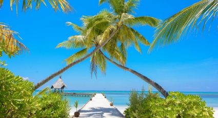 ¿Cuál es la playa más BONITA de Guerrero, según la IA?