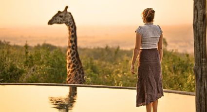 Así puedes conocer a Cosmo, la jirafa bebé del Zoológico de Zacango en vacaciones