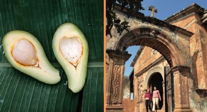 Día del Aguacate: El encantador pueblito de Michoacán dónde se produce esta fruta