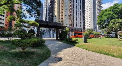El parque de la CDMX que es un rincón de Japón ideal para disfrutar el fin de semana