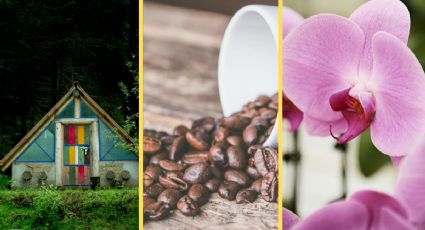 El Pueblo Mágico de Veracruz para disfrutar la lluvia entre cabañas, orquídeas y café