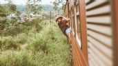 Foto ilustrativa de la nota titulada AIFA-Pachuca, CDMX-Querétaro y TODOS los trenes de pasajeros que se construirán en México