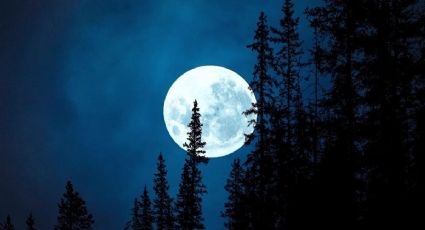 Planetario Luis Enrique Erro te espera en el Festival del Día de la Luna con actividades GRATIS