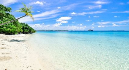 Vacaciones de verano: Las playas con las aguas más limpias de México para disfrutar
