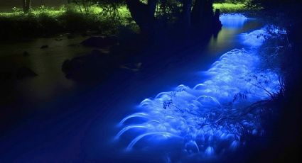 Mejores destinos bioluminiscentes para visitar en México en esta temporada, según la IA