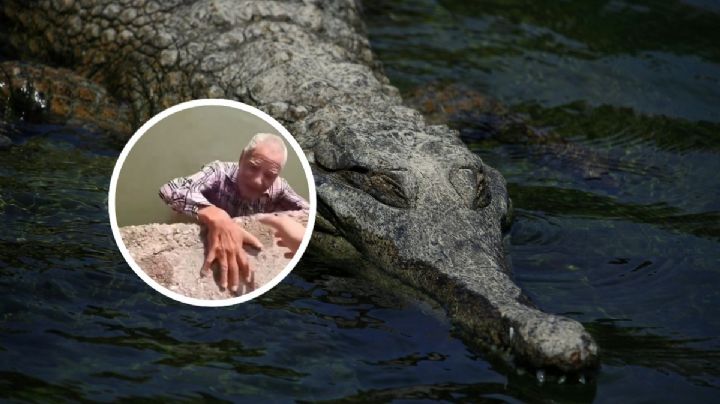 Abuelito escapa de su casa y es encontrado en un lago nadando con cocodrilos