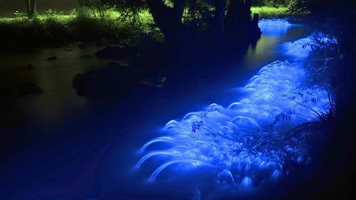 Mejores destinos bioluminiscentes para visitar en México en esta temporada, según la IA