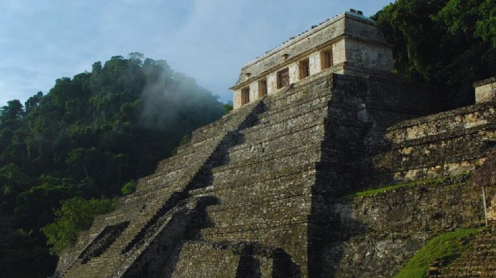 Tren Maya: Así puedes viajar de Tenosique a Palenque en 44 minutos
