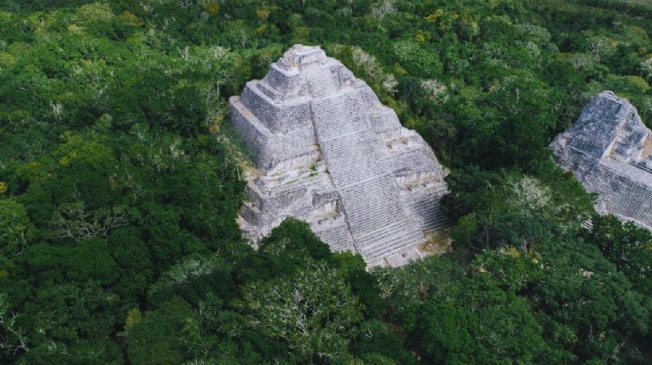 Miel del Bienestar: Los bellos destinos de México donde se recolecta el néctar de las abejas