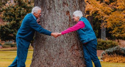 Día del Abuelo: Parques en CDMX para celebrar en familia, según la IA