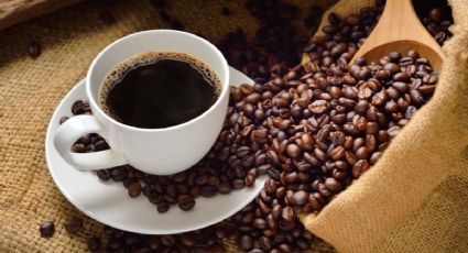 ¡Para el frío! Los pueblitos de México donde podrás probar el mejor café en tus viajes