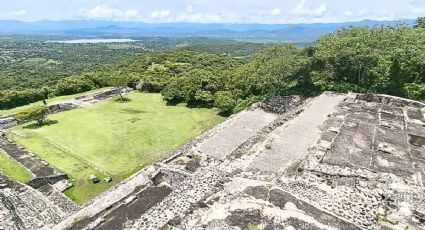 Zona Arqueológica de Xochicalco sorprende con primer avistamiento de yaguarundí en video