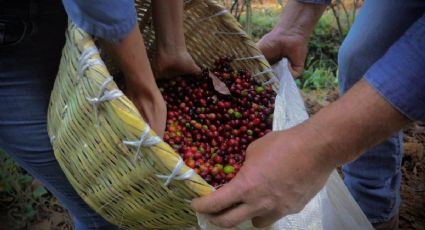 Compostela en Nayarit, un viaje entre historia, café y playas paradisíacas