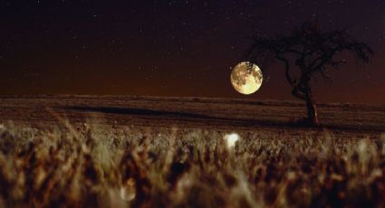 Luna llena de septiembre: Cuándo será la Luna de Maíz