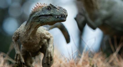 Qué tipos de dinosaurios se han encontrado en México y dónde visitar sus fósiles