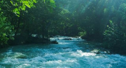 Disfruta de nadar en aguas turquesa junto a una cascada de 105 metros en un Pueblo Mágico de SLP
