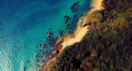 La isla escondida entre manglares y carreteras panorámicas para disfrutar en Sinaloa